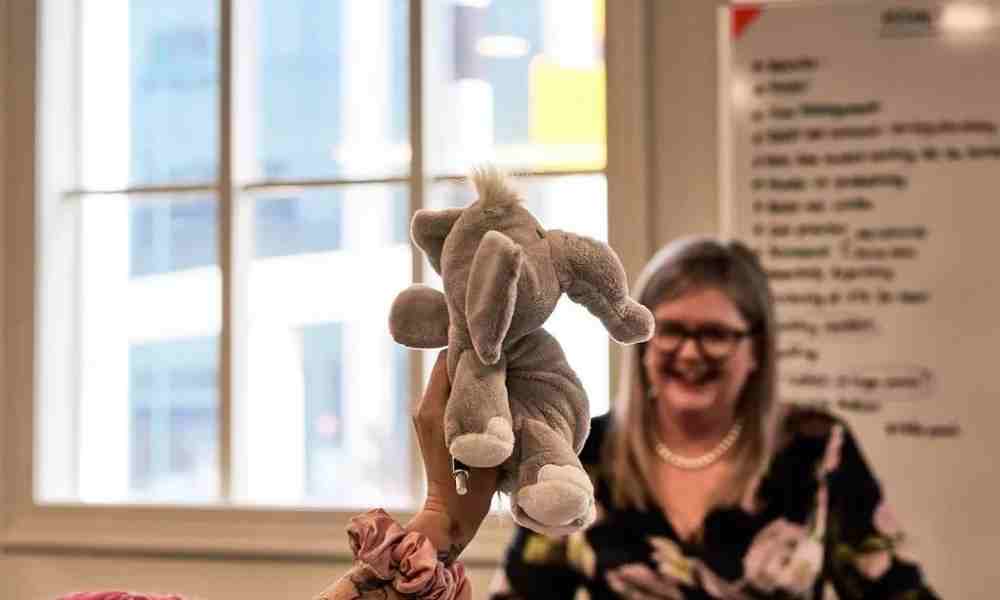 Debra Chantry-Taylor | EOS Implementer NZ | Elephant in the room | Business Coach | Leadership Coach