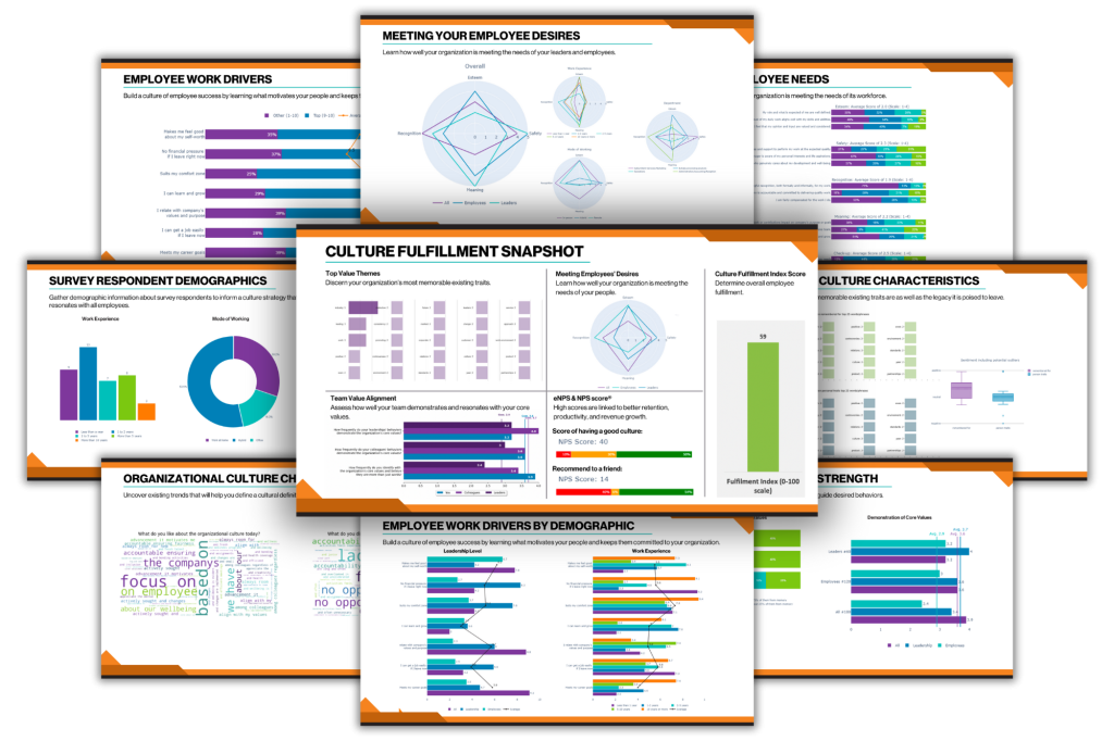 Organizational Survey Report